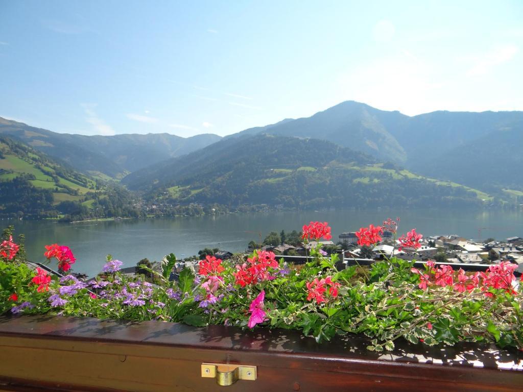 Appartement Haus Sonnenheim Zell am See Eksteriør billede