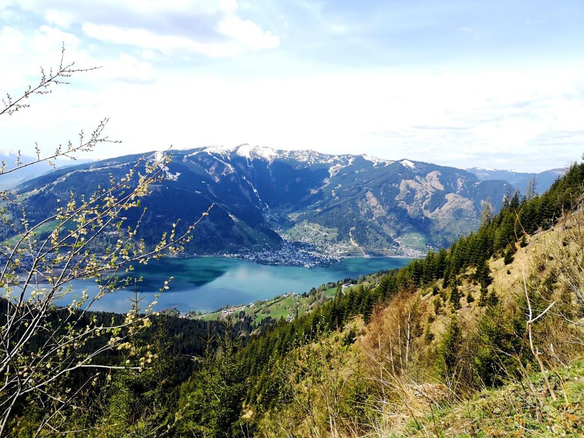 Appartement Haus Sonnenheim Zell am See Eksteriør billede
